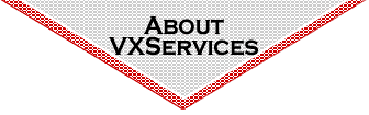 About VX Services
